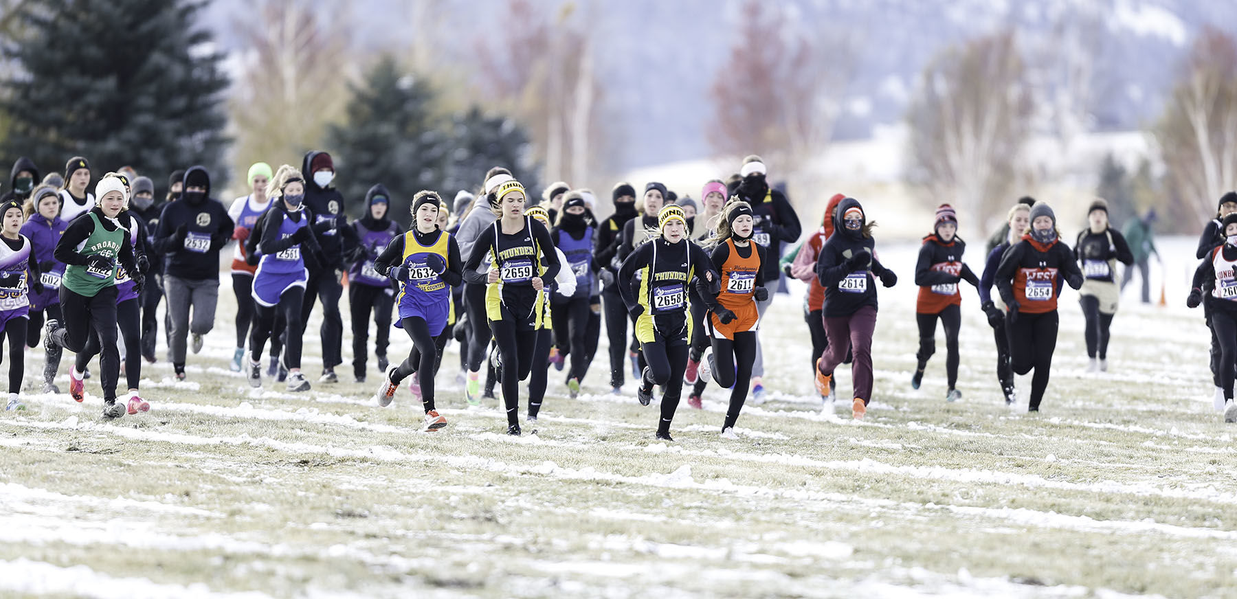 Girls State C XC